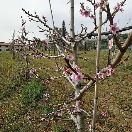 Bilocale Con Terrazza 
