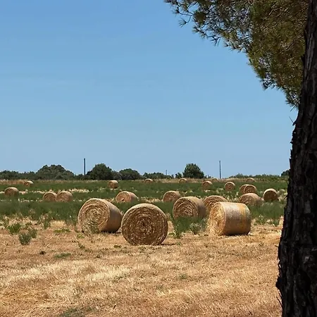 Bilocale Con Terrazza 