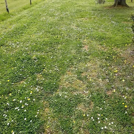 Bilocale Con Terrazza 