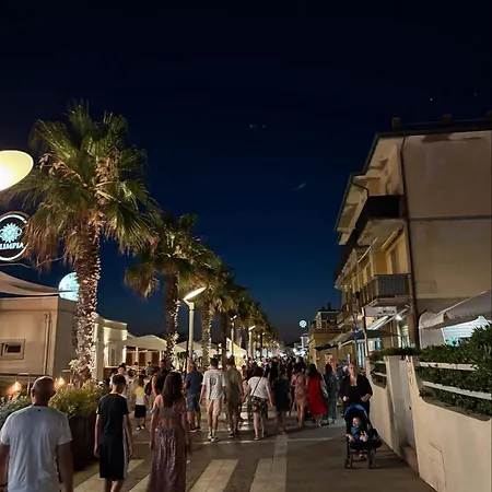 Bilocale Con Terrazza 